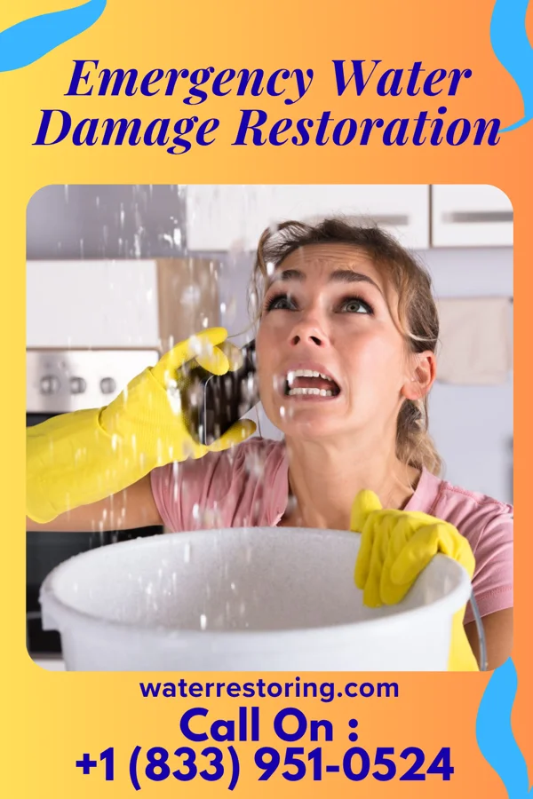 Emergency Water Damage Restoration in Longview Heights, WA