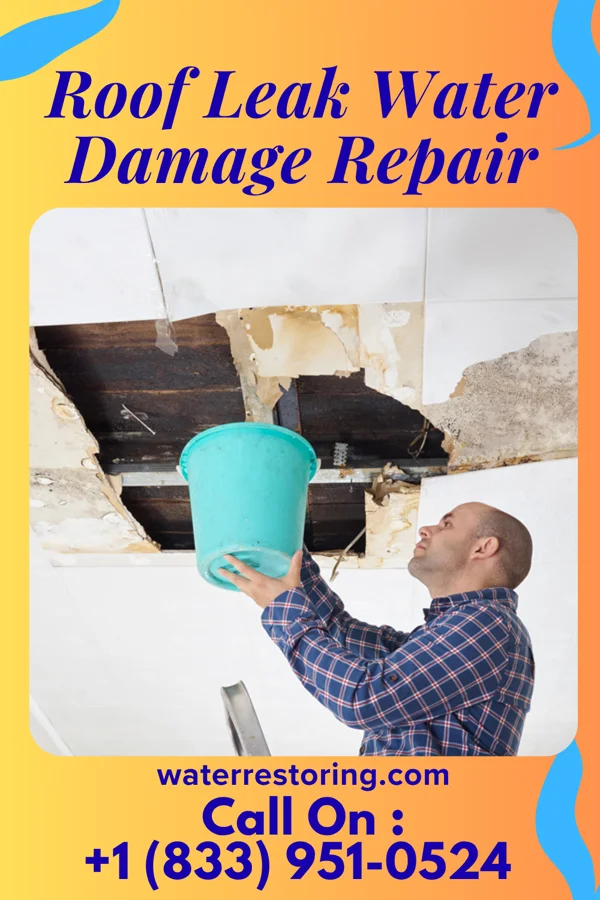 Roof Leak Water Damage Repair in Longview Heights, WA