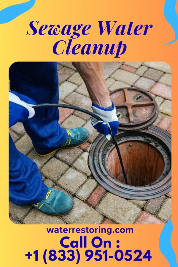 Sewage Water Cleanup in Longview Heights, WA